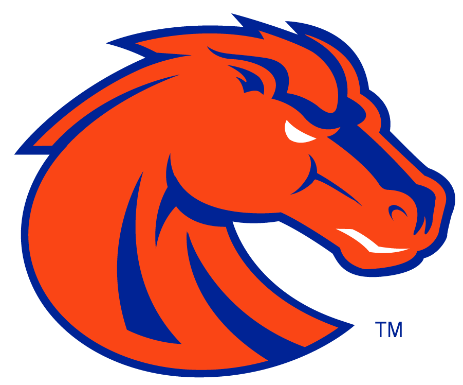 Boise State Broncos 2002-2012 Secondary Logo v3 DIY iron on transfer (heat transfer)